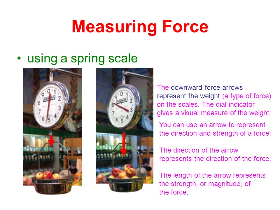 Measuring Force using a spring scale