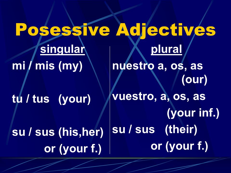 Posessive Adjectives singular mi / mis (my) tu / tus (your)