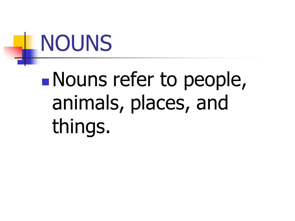 NOUNS Nouns refer to people, animals, places, and things.