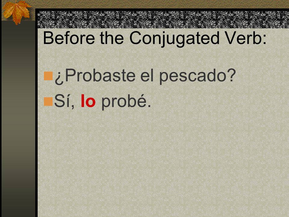 Before the Conjugated Verb: