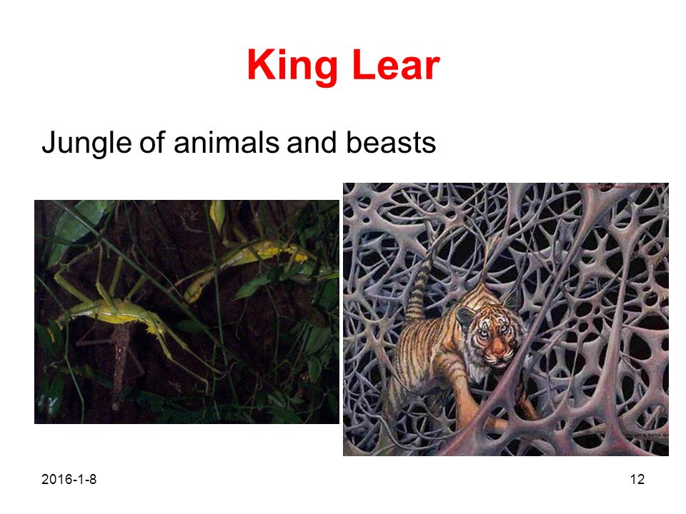 King Lear Jungle of animals and beasts 2017/4/26