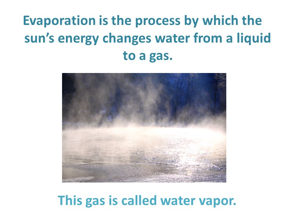 This gas is called water vapor.