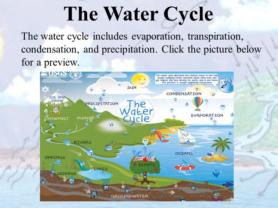 The Water Cycle The water cycle includes evaporation, transpiration, condensation, and precipitation.