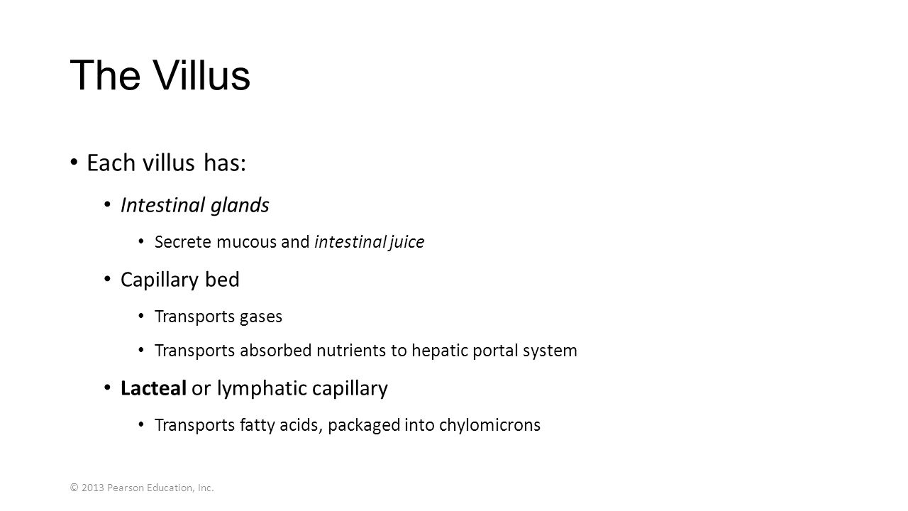 the villus each villus has: intestinal glands capillary bed