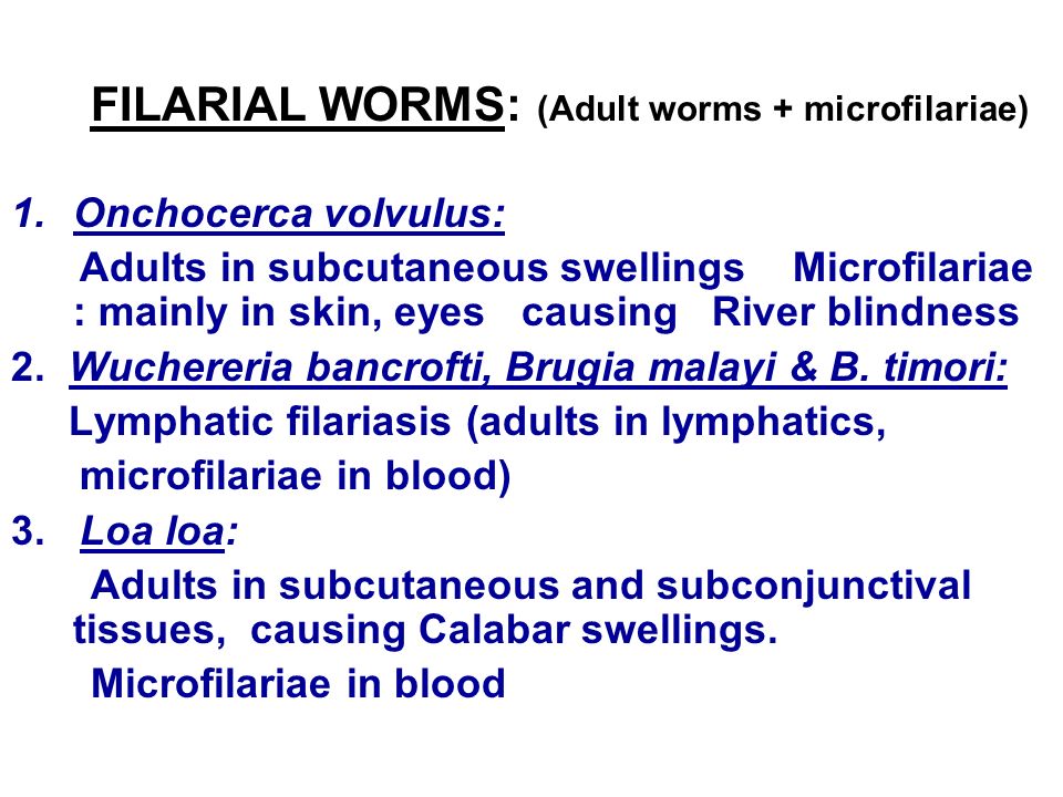 FILARIAL WORMS: (Adult worms + microfilariae)