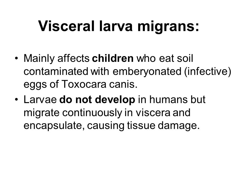 Visceral larva migrans: