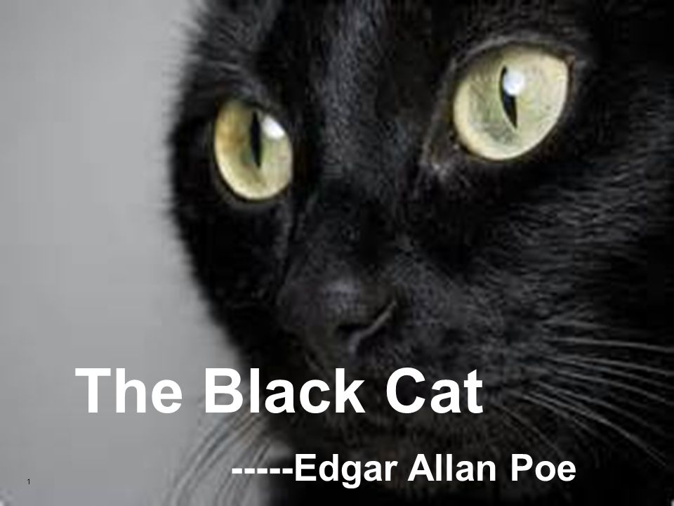 the black cat edgar allan poe symbolism