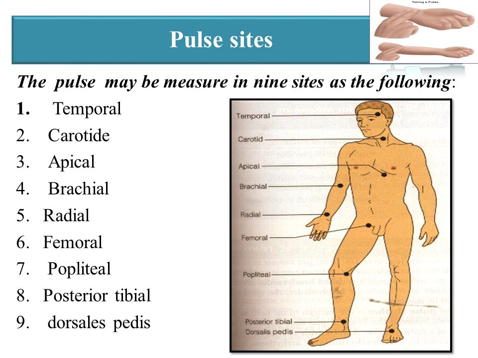 Nursing School Meets Steemit Pulse Sites 9 In Total Follow Along And Educate Yourself With Me Steemit