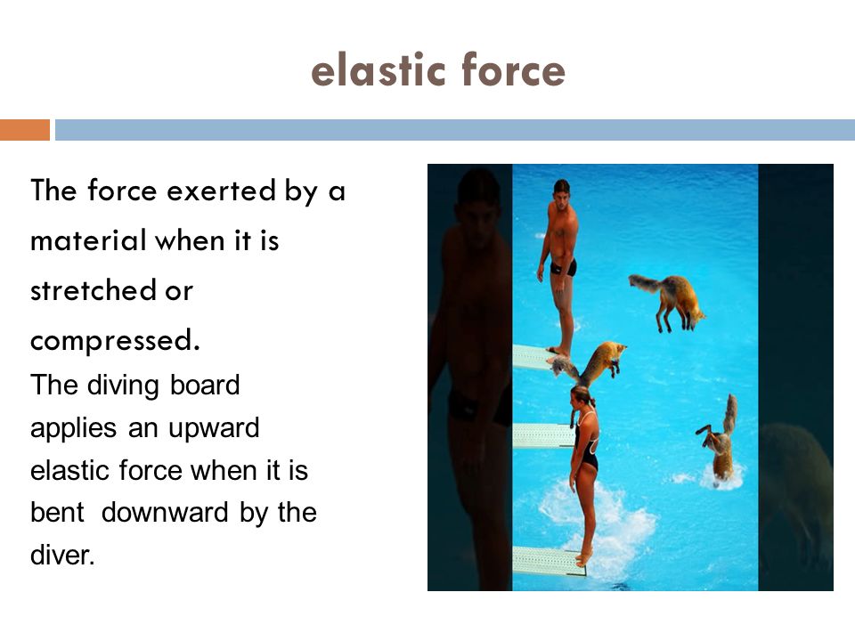 elastic force The force exerted by a material when it is stretched or