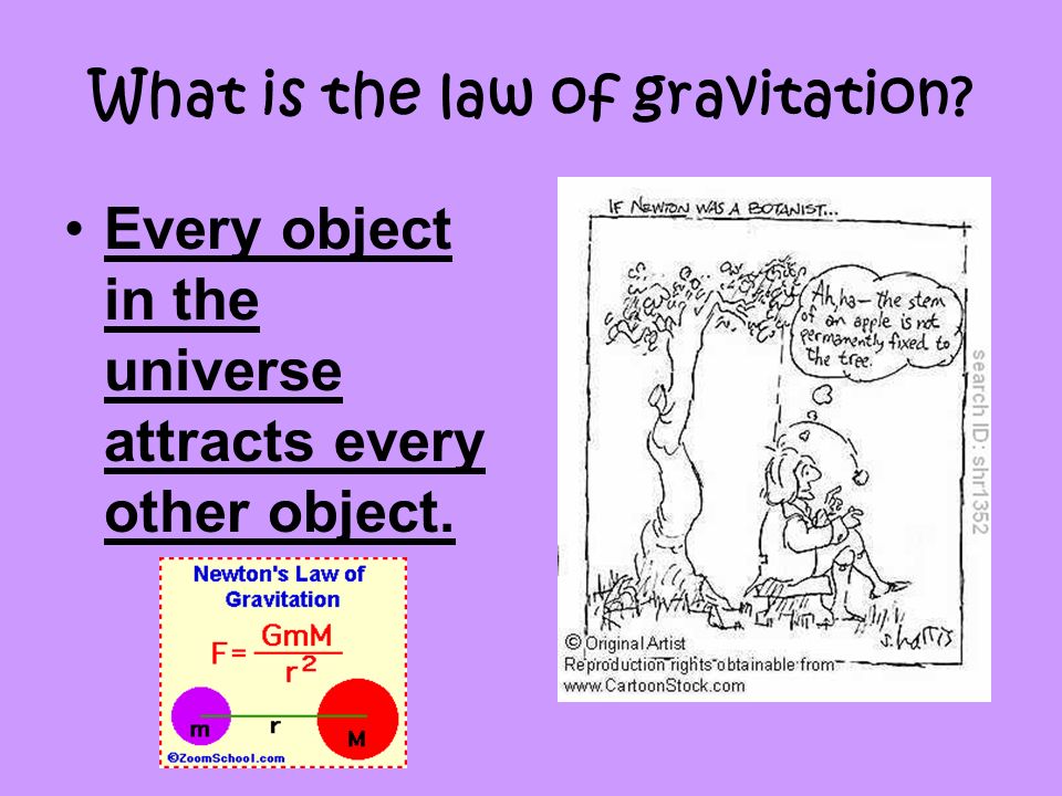 What is the law of gravitation