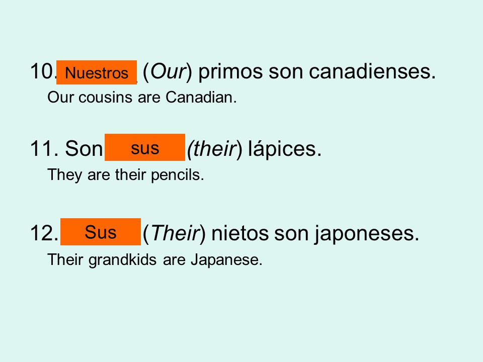 10. ______ (Our) primos son canadienses.