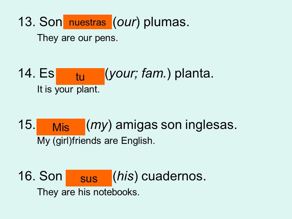 13. Son ______ (our) plumas.
