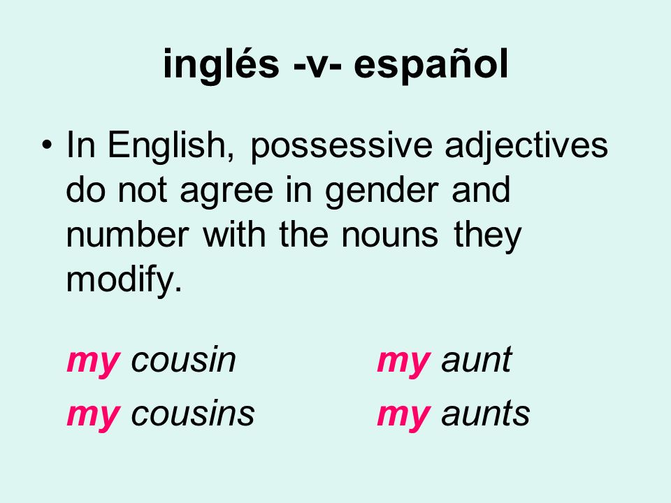 inglés -v- español In English, possessive adjectives do not agree in gender and number with the nouns they modify.