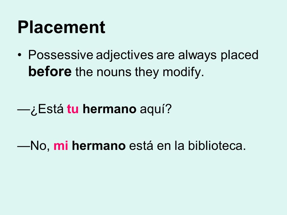 Placement Possessive adjectives are always placed before the nouns they modify. —¿Está tu hermano aquí