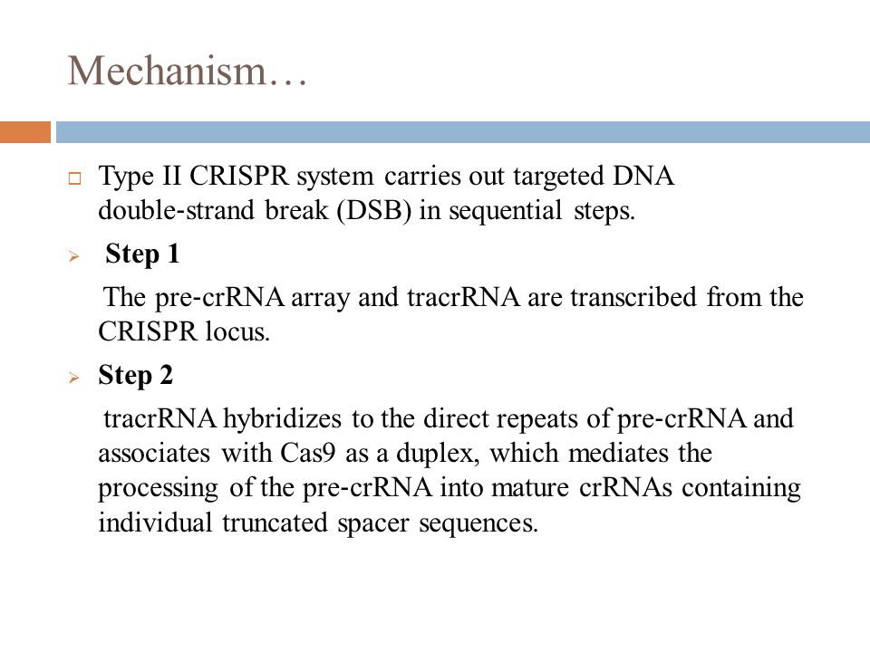 Mechanism… Type II CRISPR system carries out targeted DNA double‐strand break (DSB) in sequential steps.