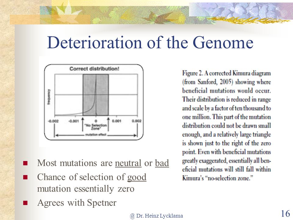 Deterioration of the Genome