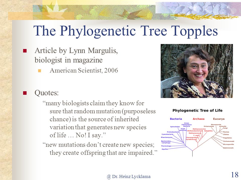 The Phylogenetic Tree Topples