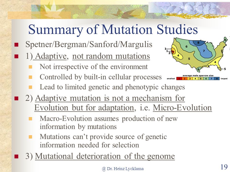 Summary of Mutation Studies