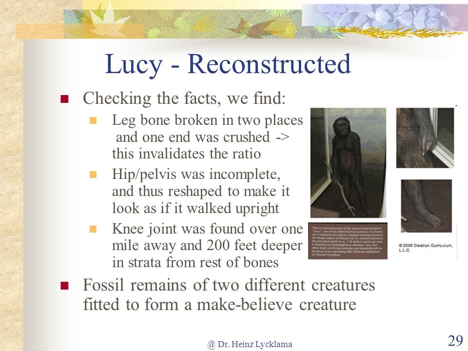 Lucy - Reconstructed Checking the facts, we find: