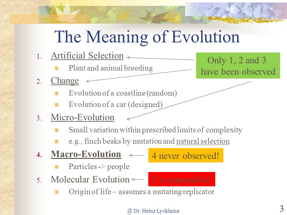 The Meaning of Evolution