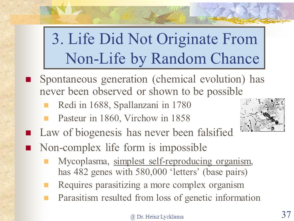 3. Life Did Not Originate From Non-Life by Random Chance