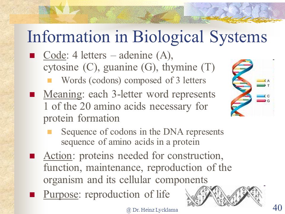 Information in Biological Systems
