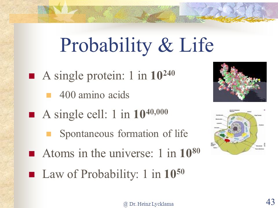 Probability & Life A single protein: 1 in 10240