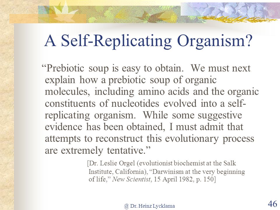 A Self-Replicating Organism