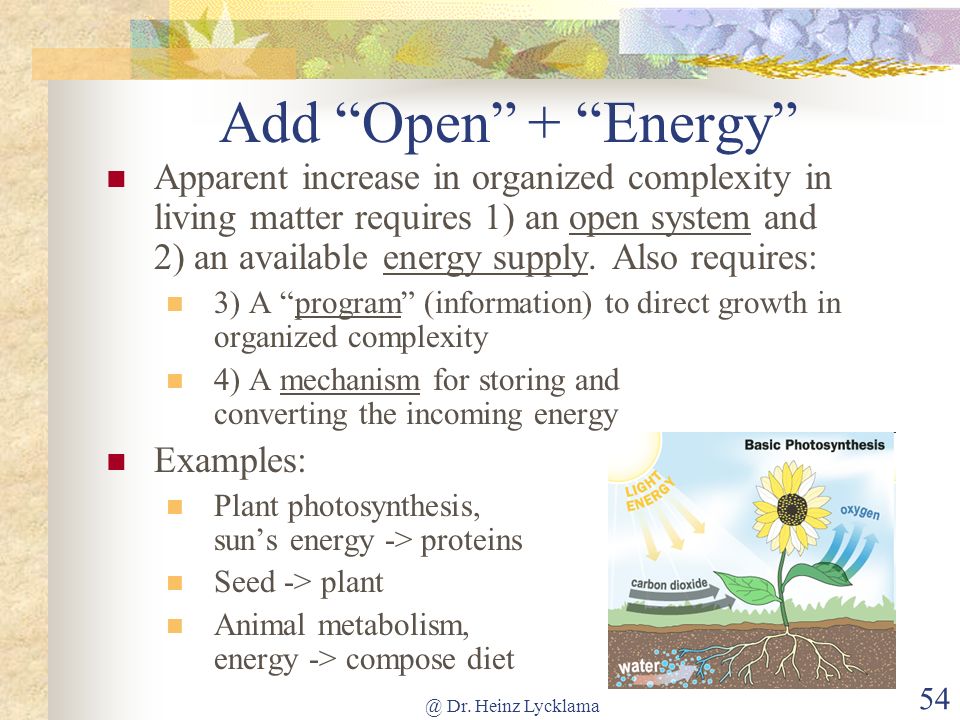 Add Open + Energy
