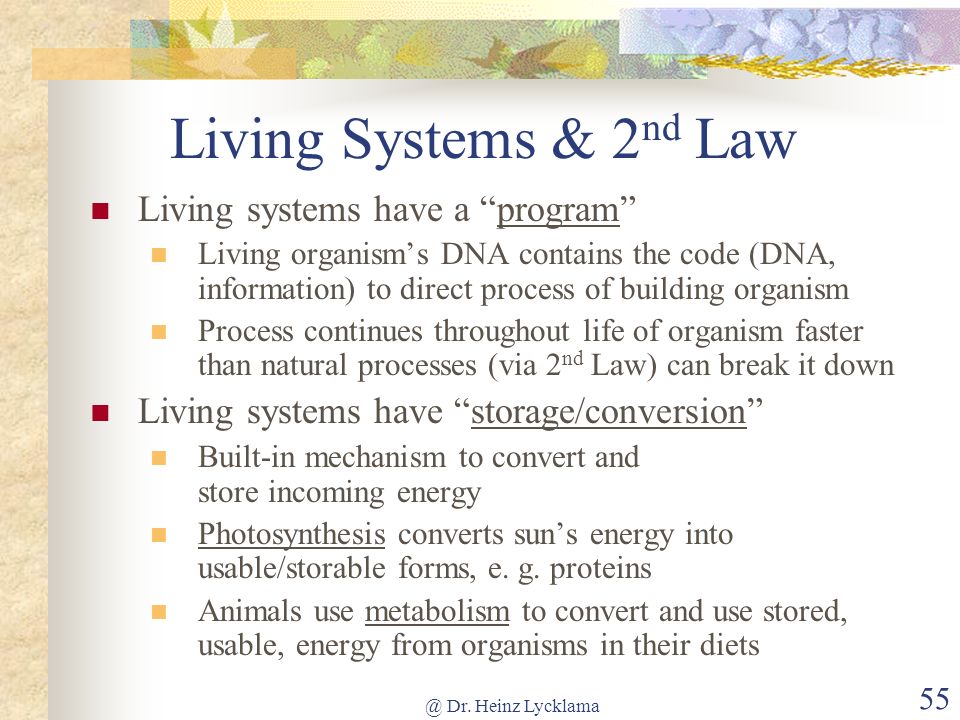 Living Systems & 2nd Law Living systems have a program