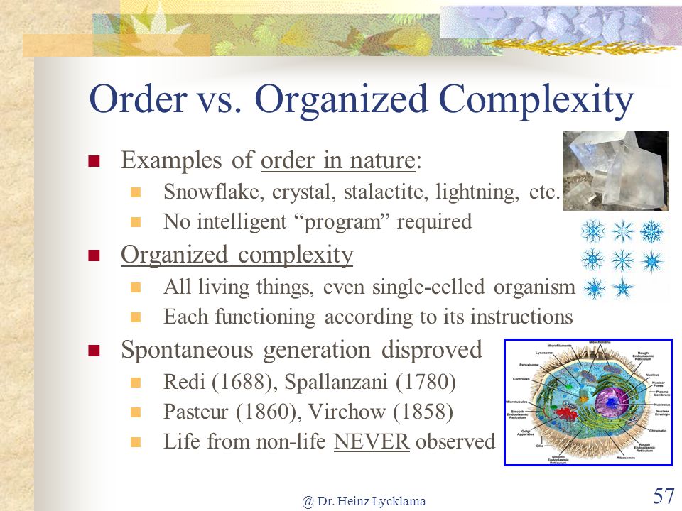 Order vs. Organized Complexity