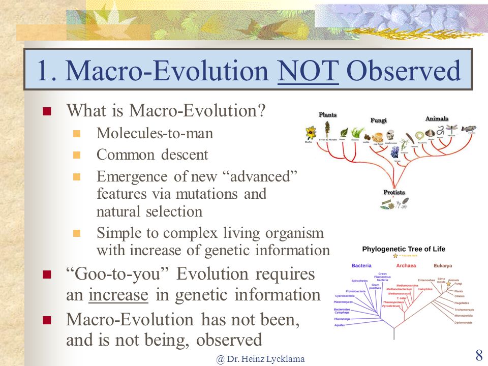 1. Macro-Evolution NOT Observed