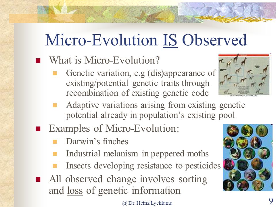 Micro-Evolution IS Observed
