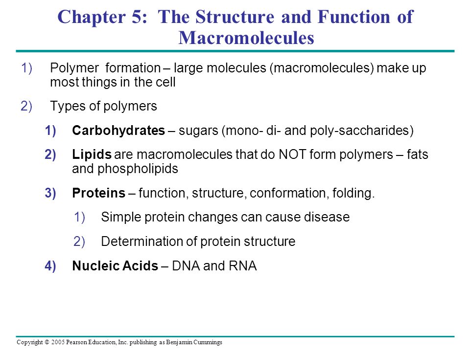 Chapter 5 The Structure And Function Of Macromolecules Ppt