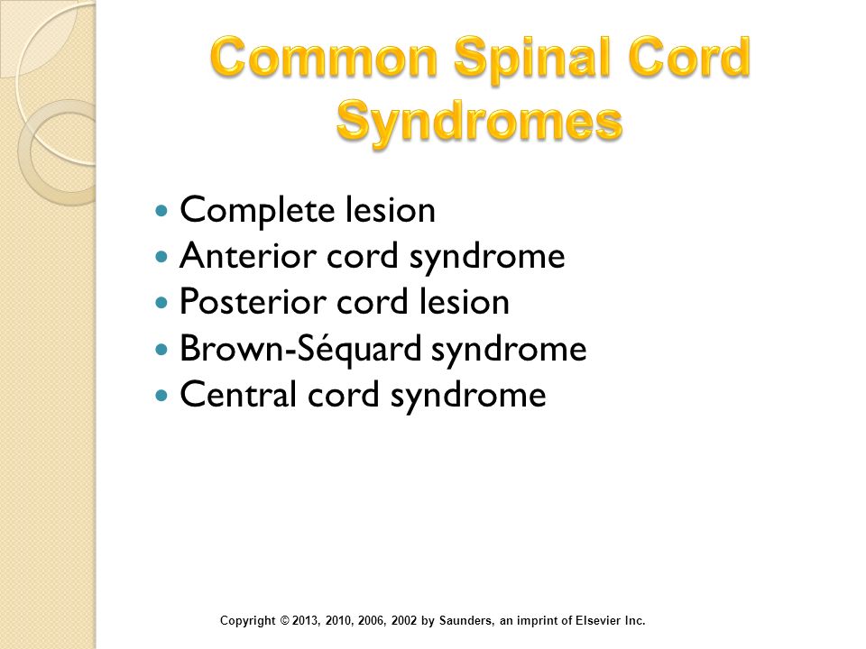 Common Spinal Cord Syndromes