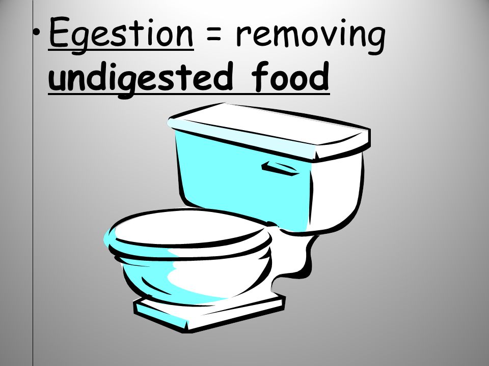 undigested, (eat) digest food = break it down egestion = removing undigested