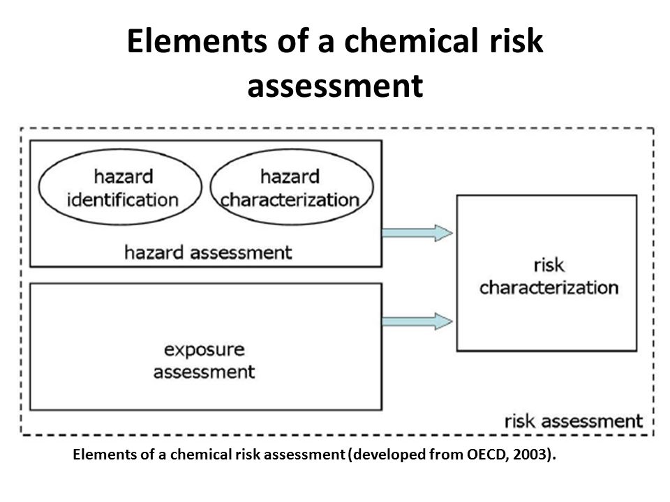 Elements of a chemical risk assessment