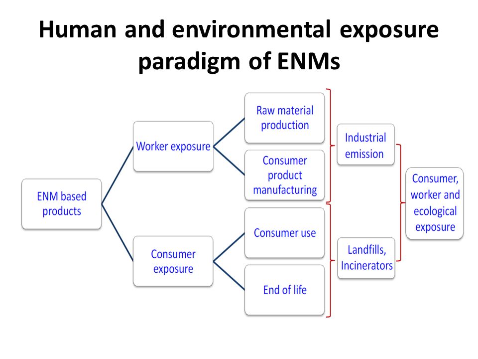 Human and environmental exposure paradigm of ENMs