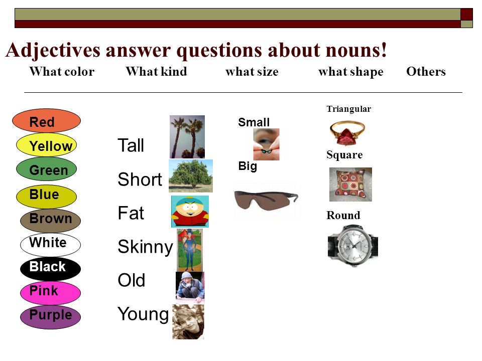 Adjectives answer questions about nouns!