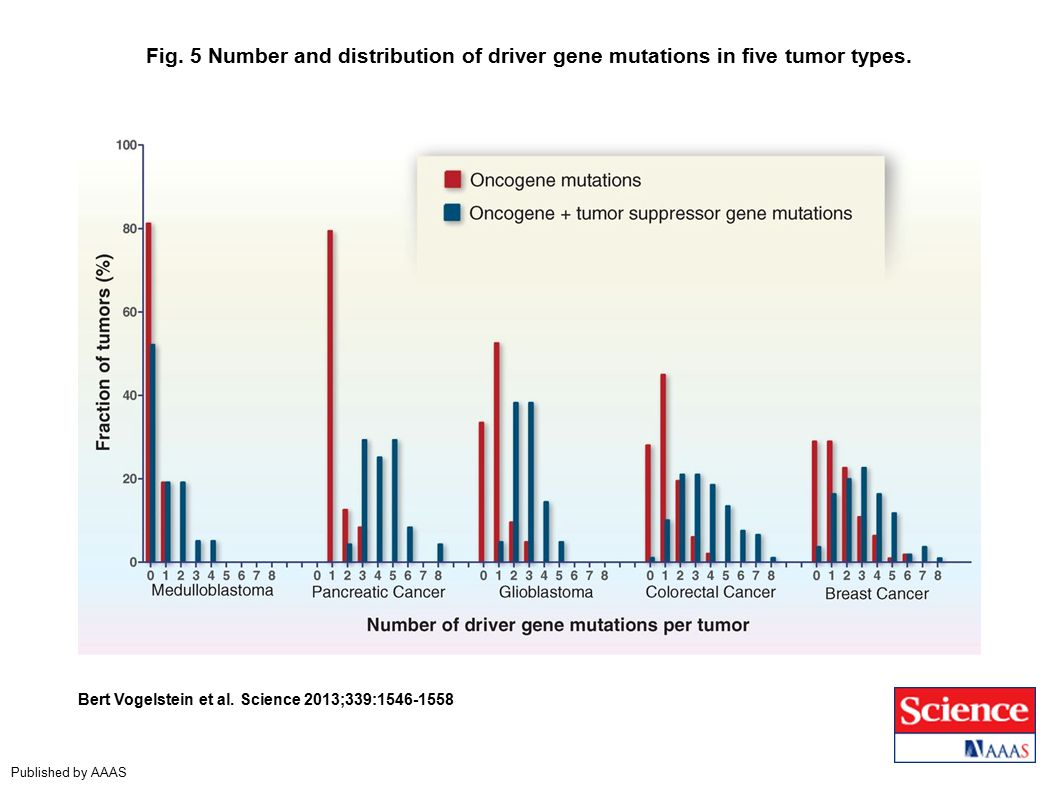 Fig. 5 Number and distribution of driver gene mutations in five tumor types.