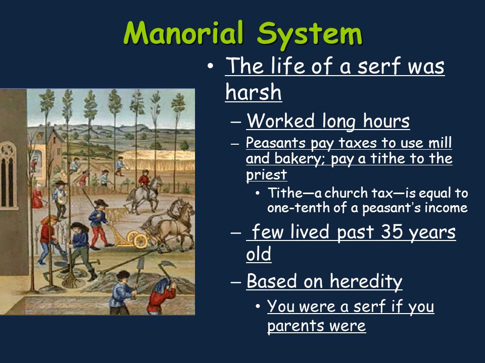 Manorial System The life of a serf was harsh Worked long hours