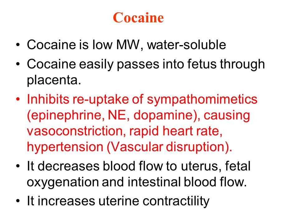 Cocaine Cocaine is low MW, water-soluble