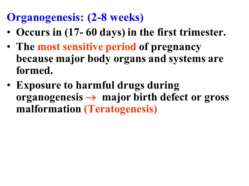 Organogenesis: (2-8 weeks)