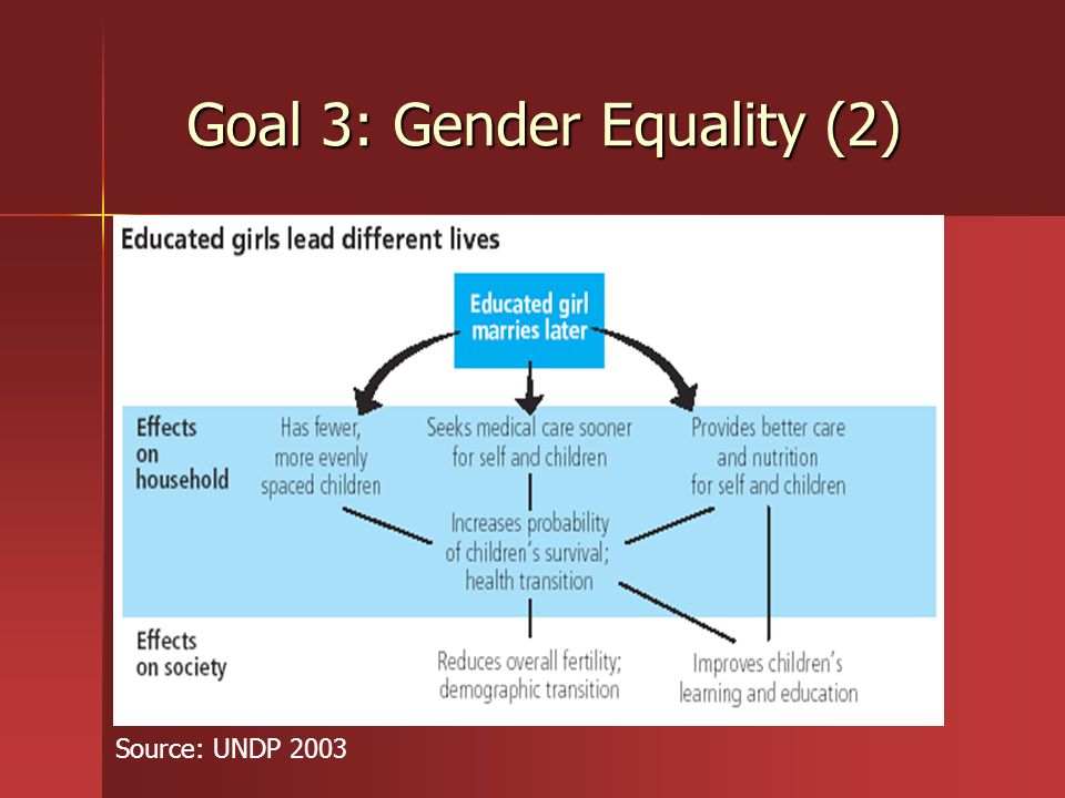 Goal 3: Gender Equality (2)