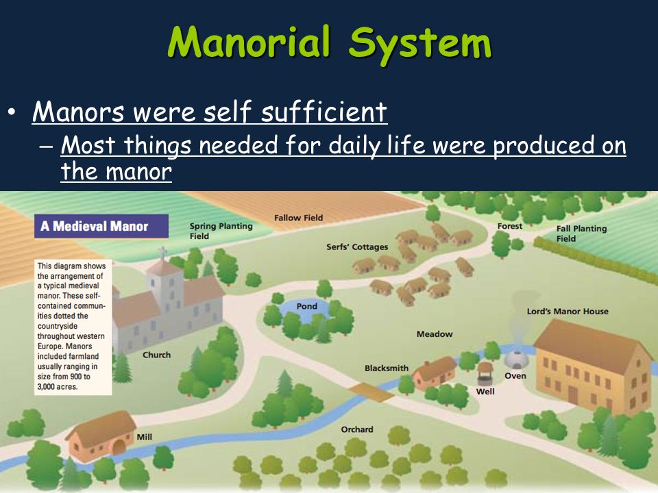 Manorial System Manors were self sufficient