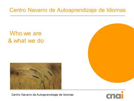 Centro Navarro de Autoaprendizaje de Idiomas Who we are & what we do.