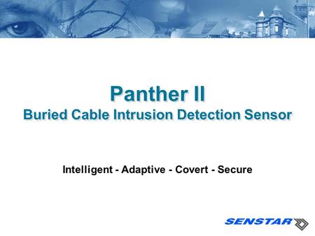 Panther II Buried Cable Intrusion Detection Sensor