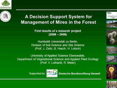 A Decision Support System for Management of Mires in the Forest