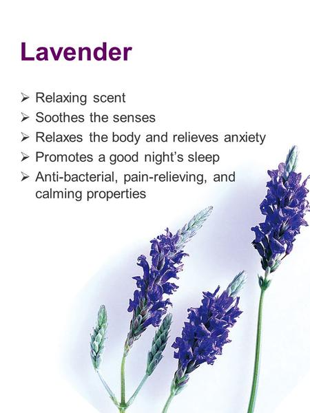 Lavender Relaxing scent Soothes the senses