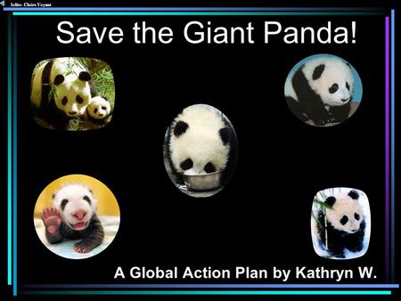 A Global Action Plan by Kathryn W.